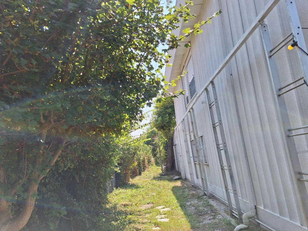פאדובה Green Fields מראה חיצוני תמונה