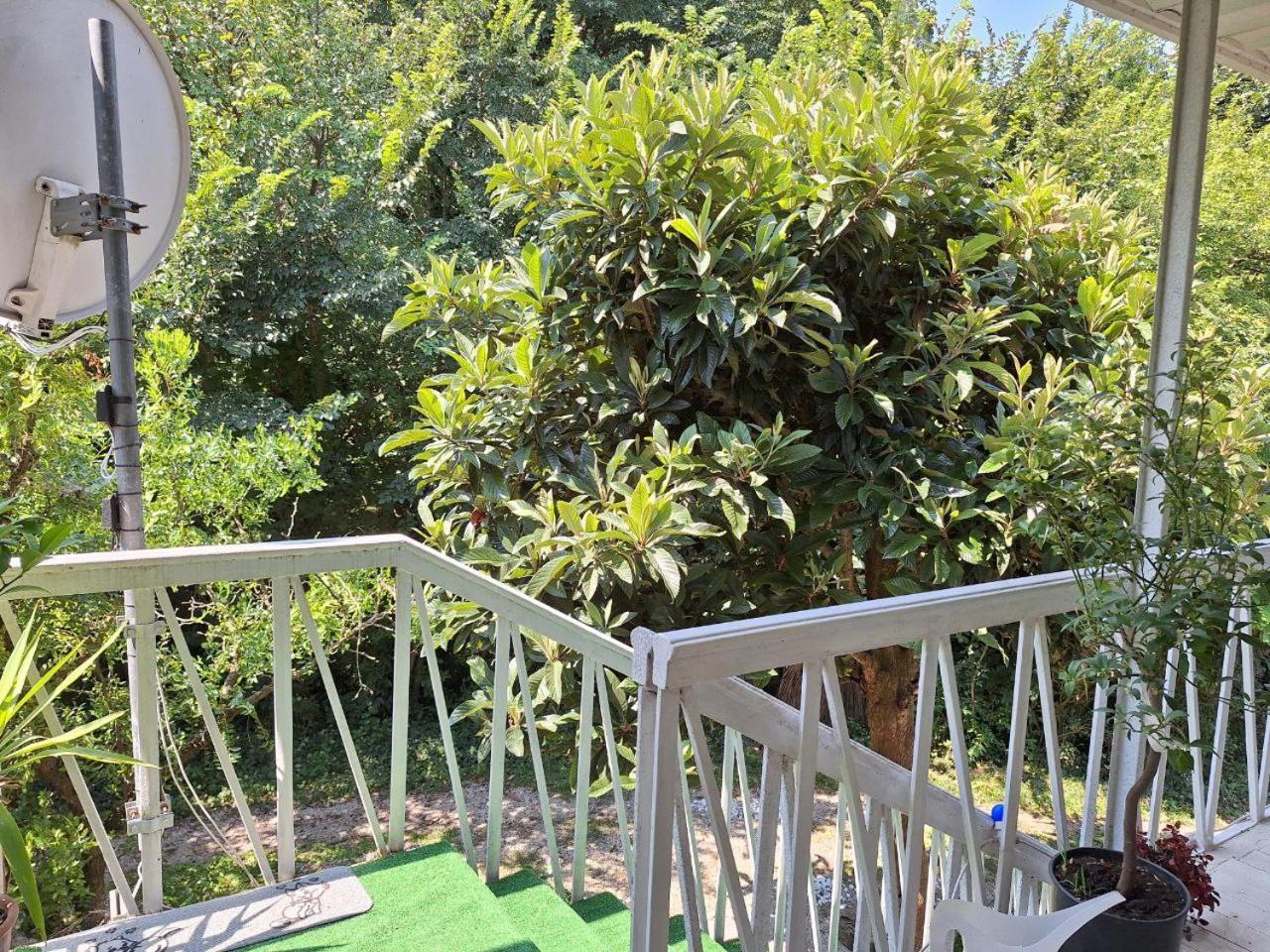 פאדובה Green Fields מראה חיצוני תמונה