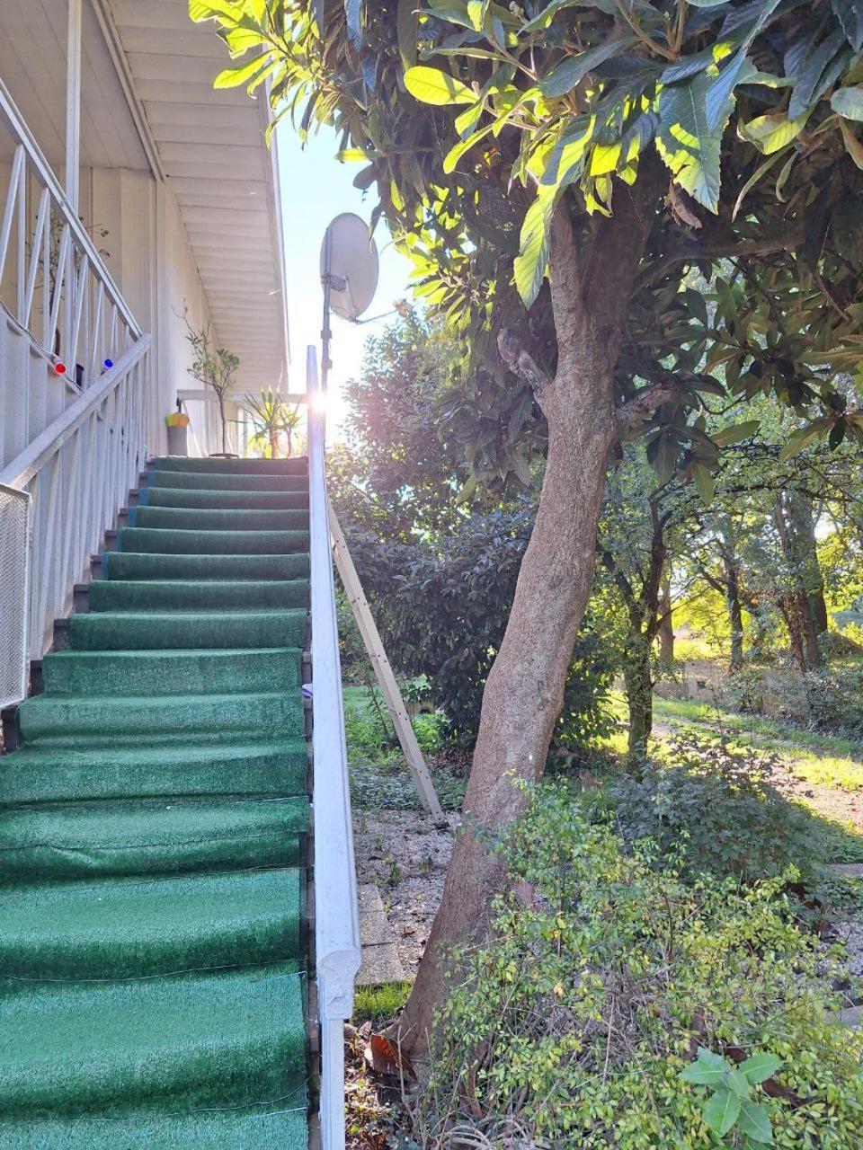 פאדובה Green Fields מראה חיצוני תמונה