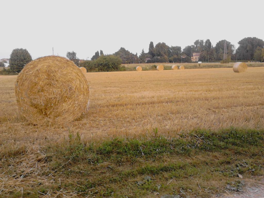 פאדובה Green Fields מראה חיצוני תמונה